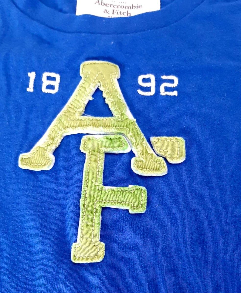 アバクロンビー&フィッチ abercrombie&fitch Tシャツ S 刺繍