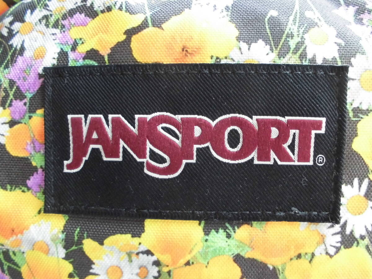 Ollie掲載!新品!JANSPORT SUPERBREAK PLUS 23年製 ジャンスポーツ the Apartment_画像3