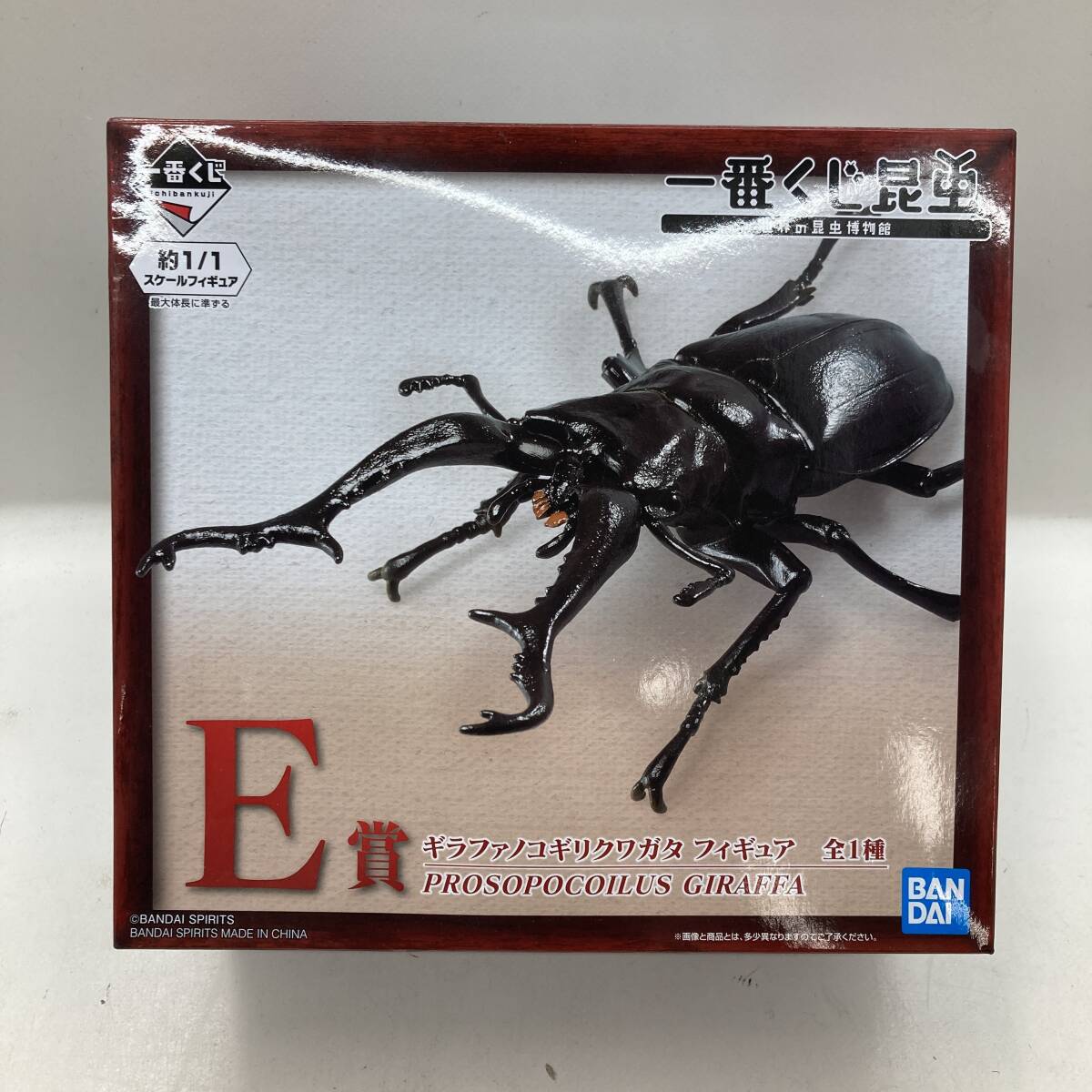 [1 иен ~] самый жребий насекомое E.gi черновой . Prosopocoilus inclinatus фигурка BANDAI[ б/у товар ]