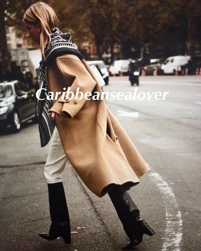 即決 希少柄 エルメス ストール カシシル カレジェアン レクレ 即決 希少柄 エルメス ストール カシシル カレジェアン レクレ