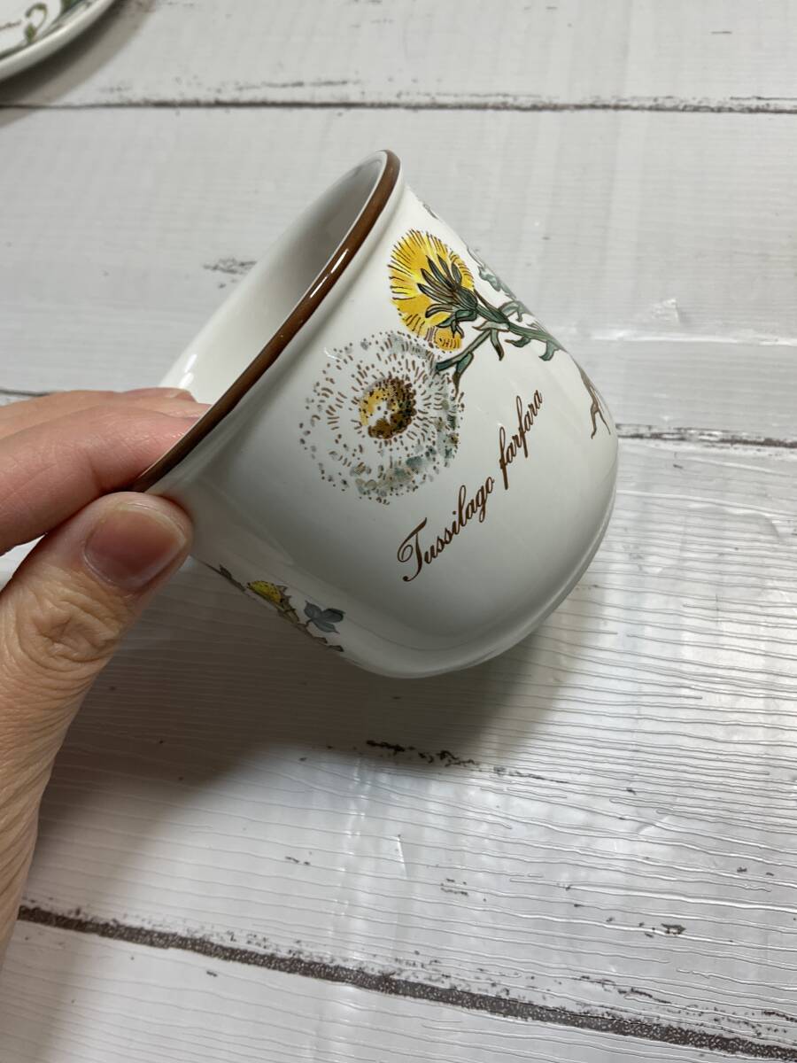  Villeroy & Boch Botanicabotanika цветочный принт cup & блюдце 1 покупатель 
