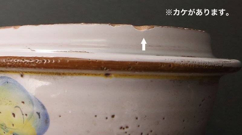 【深和】18～19世紀◆マジョリカ果物図アルバレロ水指（マヨリカ焼 ポプリポット スリップウェア イタリア 薬壺 キャニスター 洋食器）の画像5