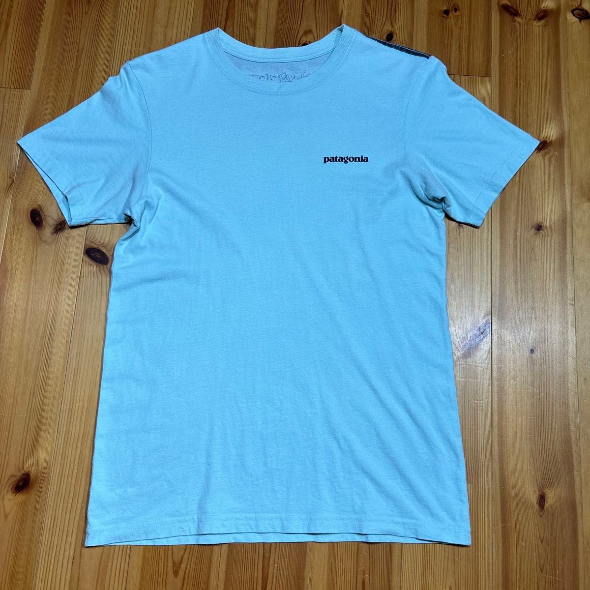 Patagonia パタゴニア フォトプリントTシャツ サイズXS