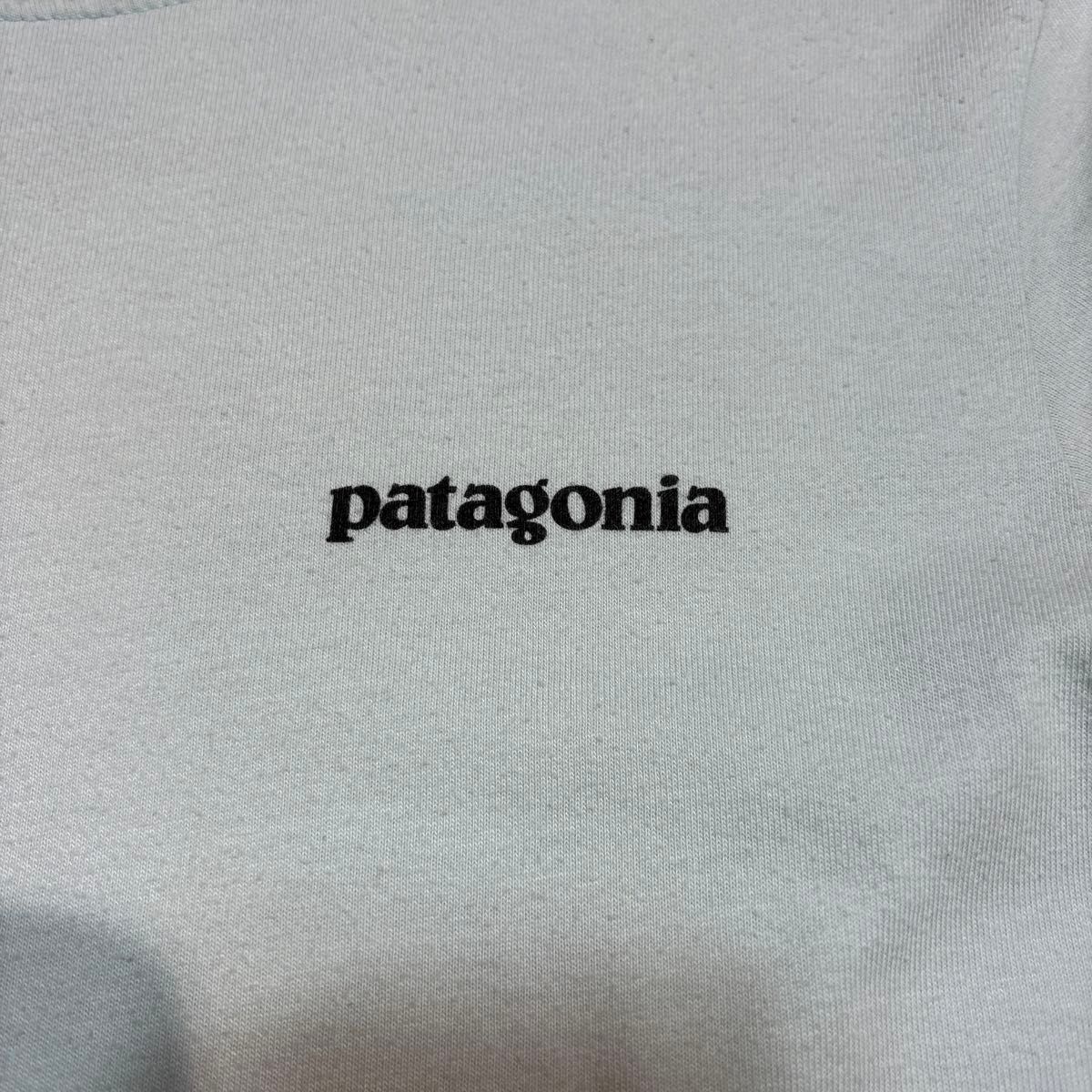 Patagonia パタゴニア フォトプリントTシャツ サイズXS