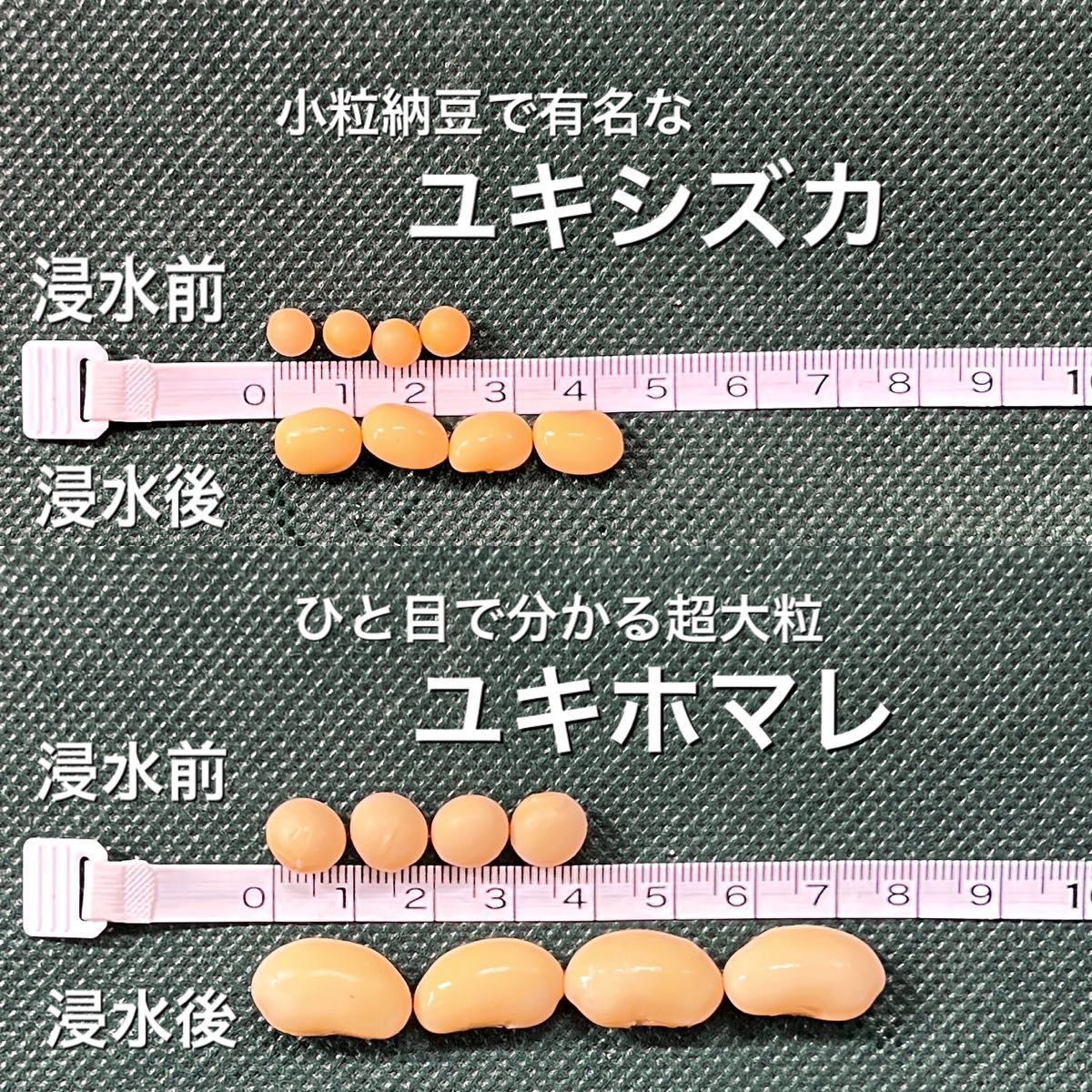 大人気 北海道産 大豆 25kg 匿名配送 自家製 味噌 納豆 豆腐 豆乳