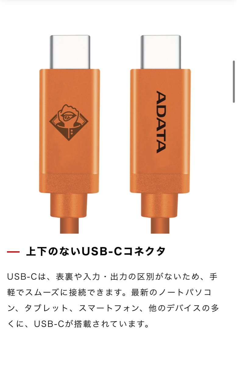 呪術廻戦 USB-C ケーブル 1m 釘崎野薔薇モデル