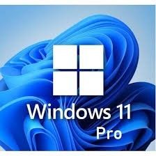 Windows 11 pro 正規 32/64bit 新規インストール/HOMEからアップグレード対応