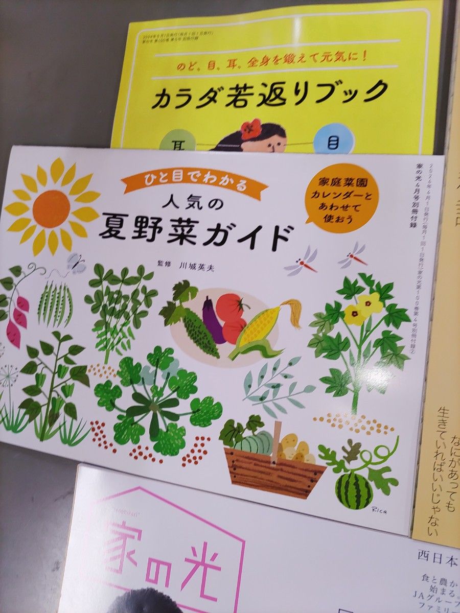 雑誌 家の光 西日本版 6冊まとめ売り 23年11月号、24年1～5月号 付録2雑誌 家の光 西日本版