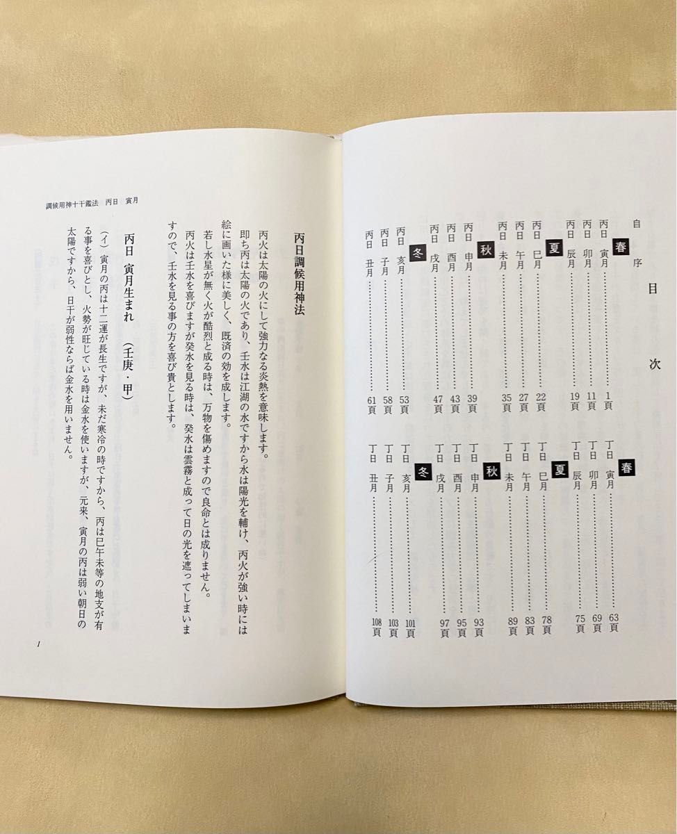 四柱推命 実践鑑定講座応用編 丙・丁　緒方泰州