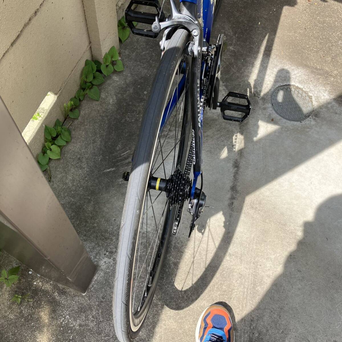37222円 【手渡しも可】 cinelli チネリ unica ロードバイク 37222円 【手渡しも可】 cinelli チネリ unica ロードバイク