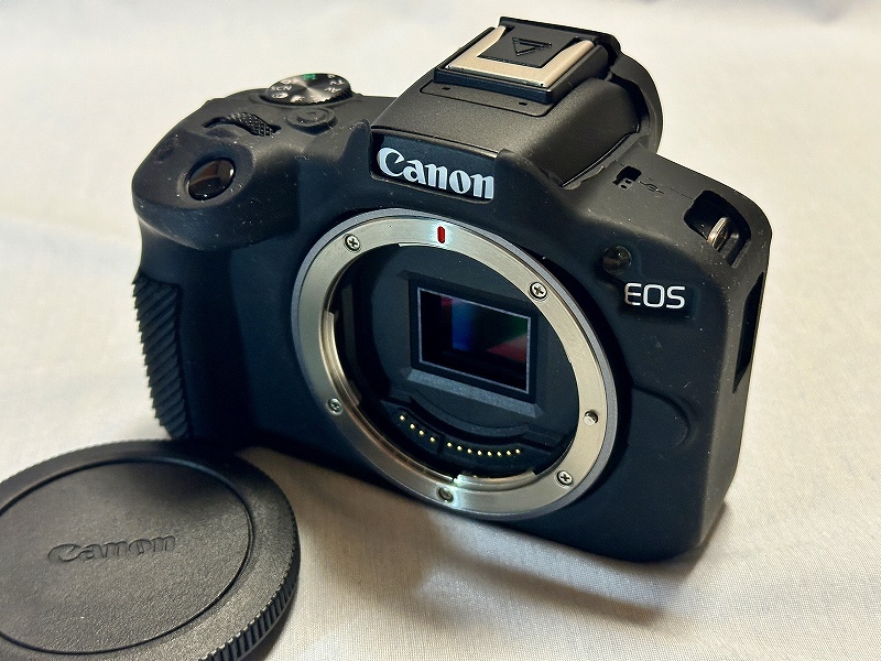 Canon 美品EOS R50 ダブルズームキット ＋おまけ多数_画像3