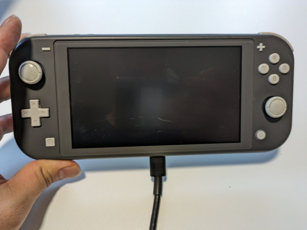 Switch Nintendo Lite グレー　ソフト3つ　1tbSDカード