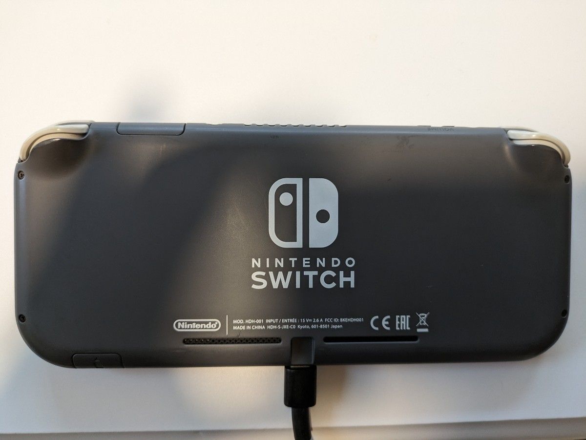 Switch Nintendo Lite グレー　ソフト3つ　1tbSDカード