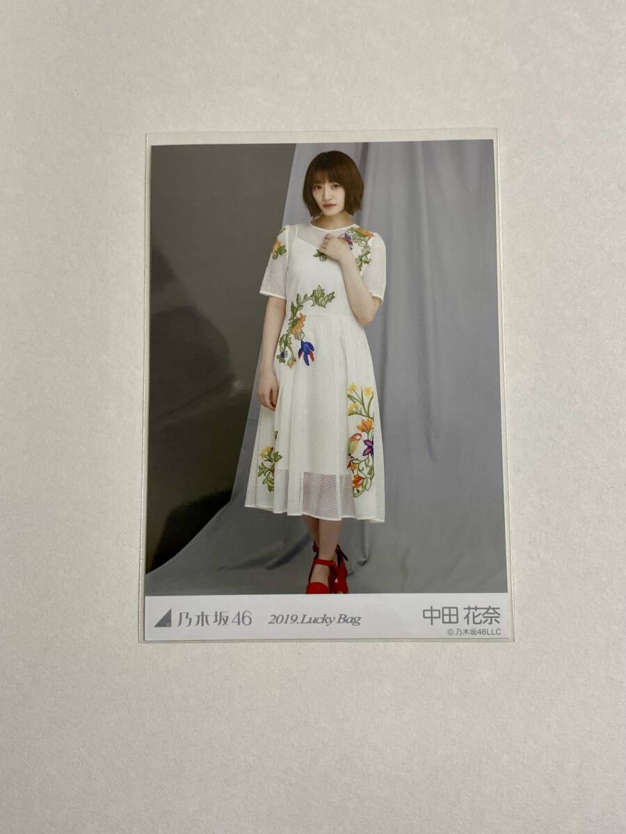  Nogizaka 46 средний рисовое поле цветок .2019 Lucky Bag life photograph 