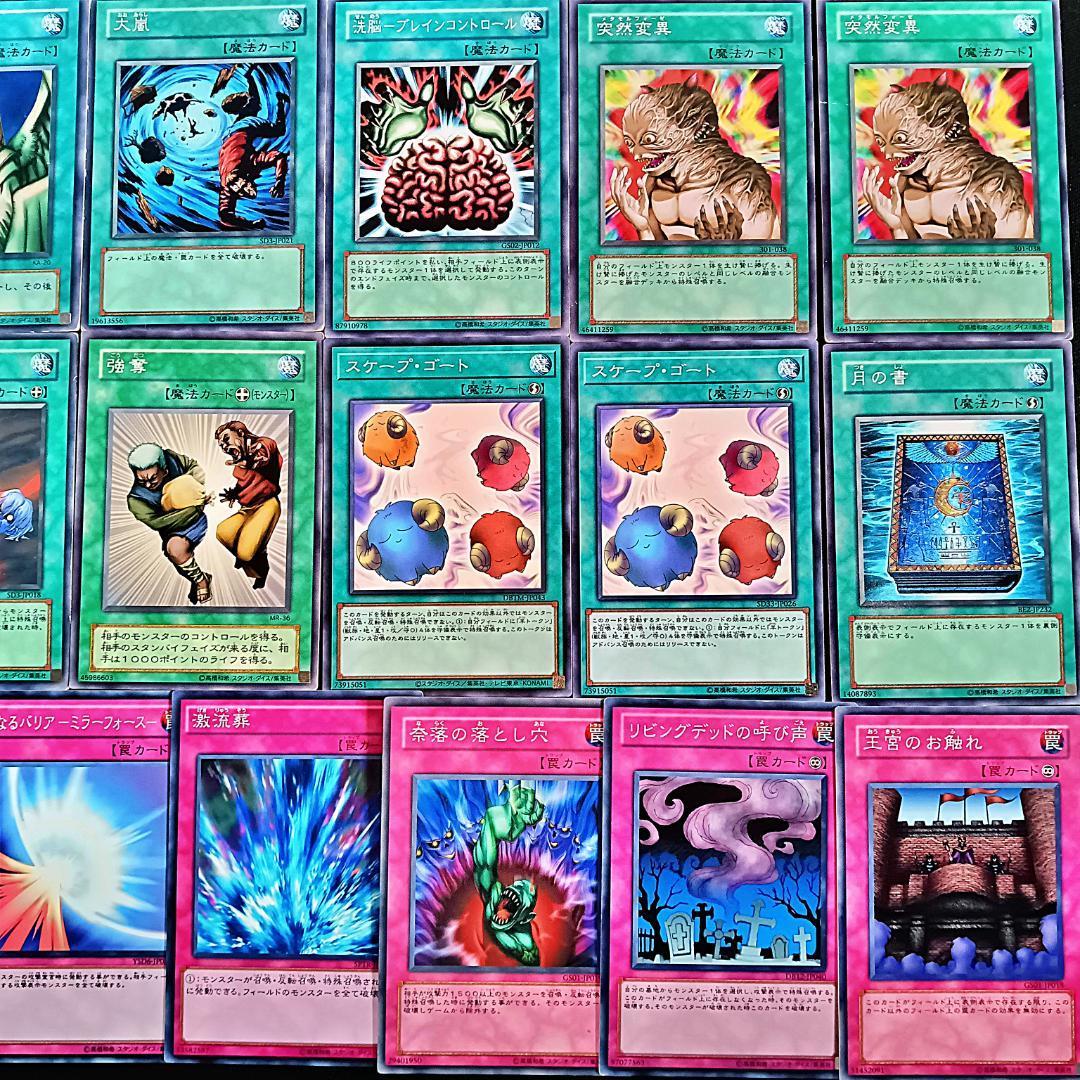 No 202 WCS2005年優勝 変異カオス デッキ 遊戯王 構築済み No 202 WCS2005年優勝 変異カオス デッキ 遊戯王 構築済み