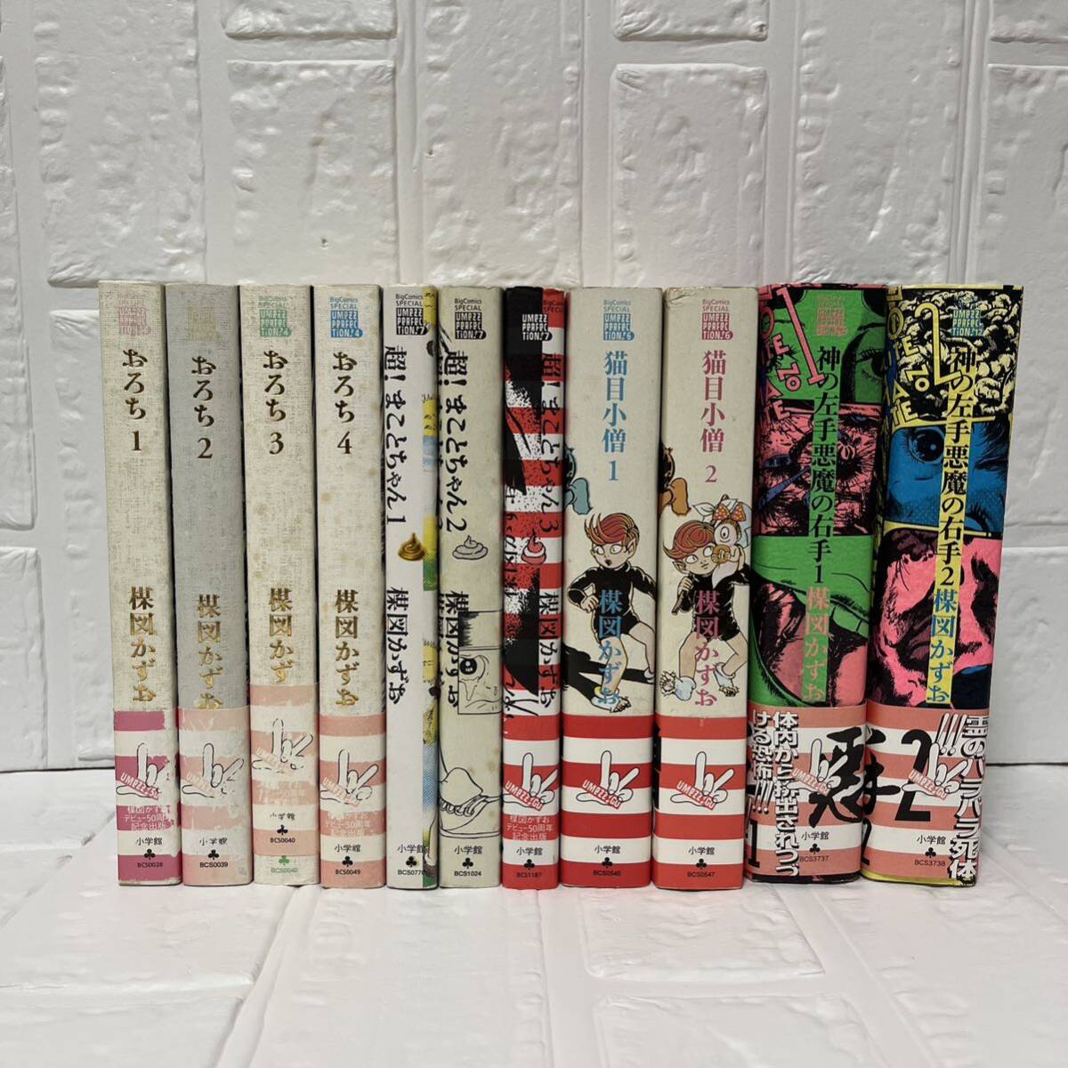 7820円 楳図かずおパーフェクション 11冊 神の左手悪魔の右手 全 7820円 楳図かずおパーフェクション 11冊 神の左手悪魔の右手 全
