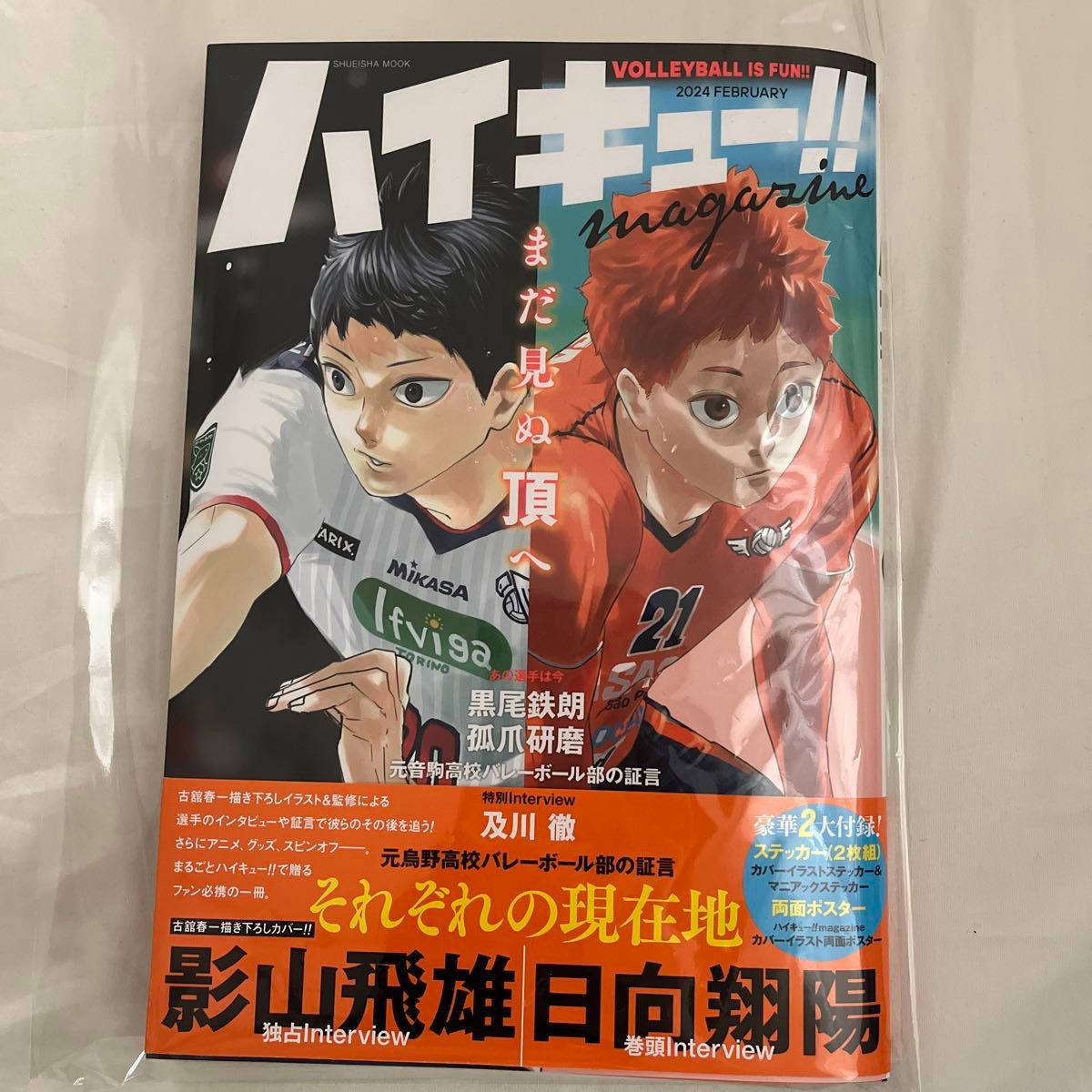 ハイキュー magazine 2024 FEBRUARY ハイキュー マガジン 本