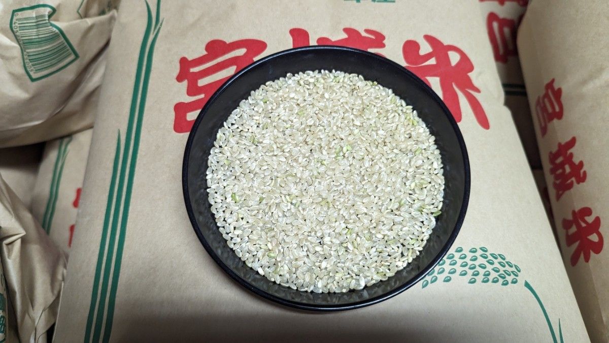 【R5年産】農家直送 みやぎのササニシキ　無洗米1.5kg