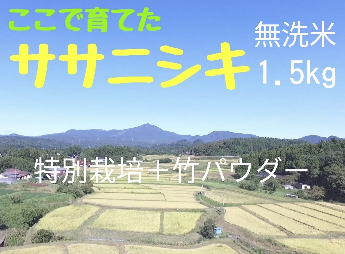 【R5年産】農家直送 みやぎのササニシキ　無洗米1.5kg