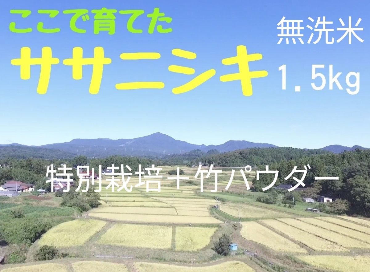 【R5年産】農家直送 みやぎのササニシキ　無洗米1.5kg