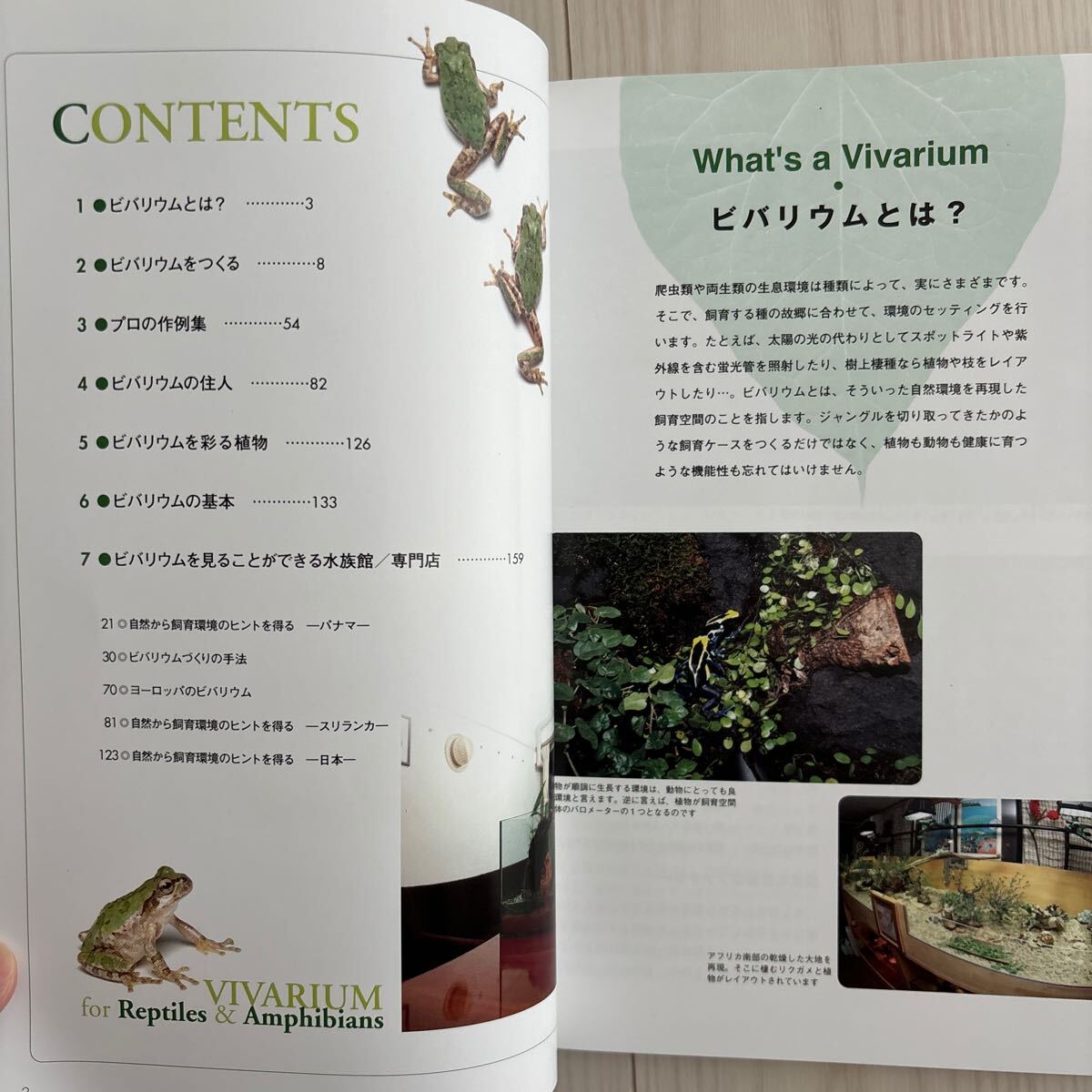 [ reptiles * amphibia. breeding environment. making person ] increase . modified . version . writing . new light company issue 