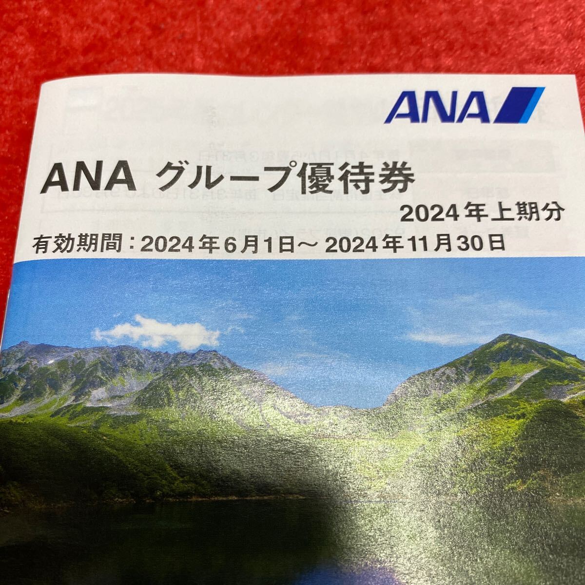 ANA stockholder hospitality number guide paper + group complimentary ticket 