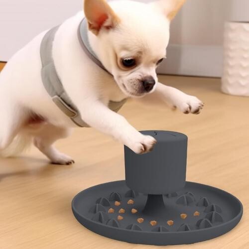  pet. . meal toy dog. automatic hood vessel cat. automatic hood vessel pet. slow hood vessel cat . dog 