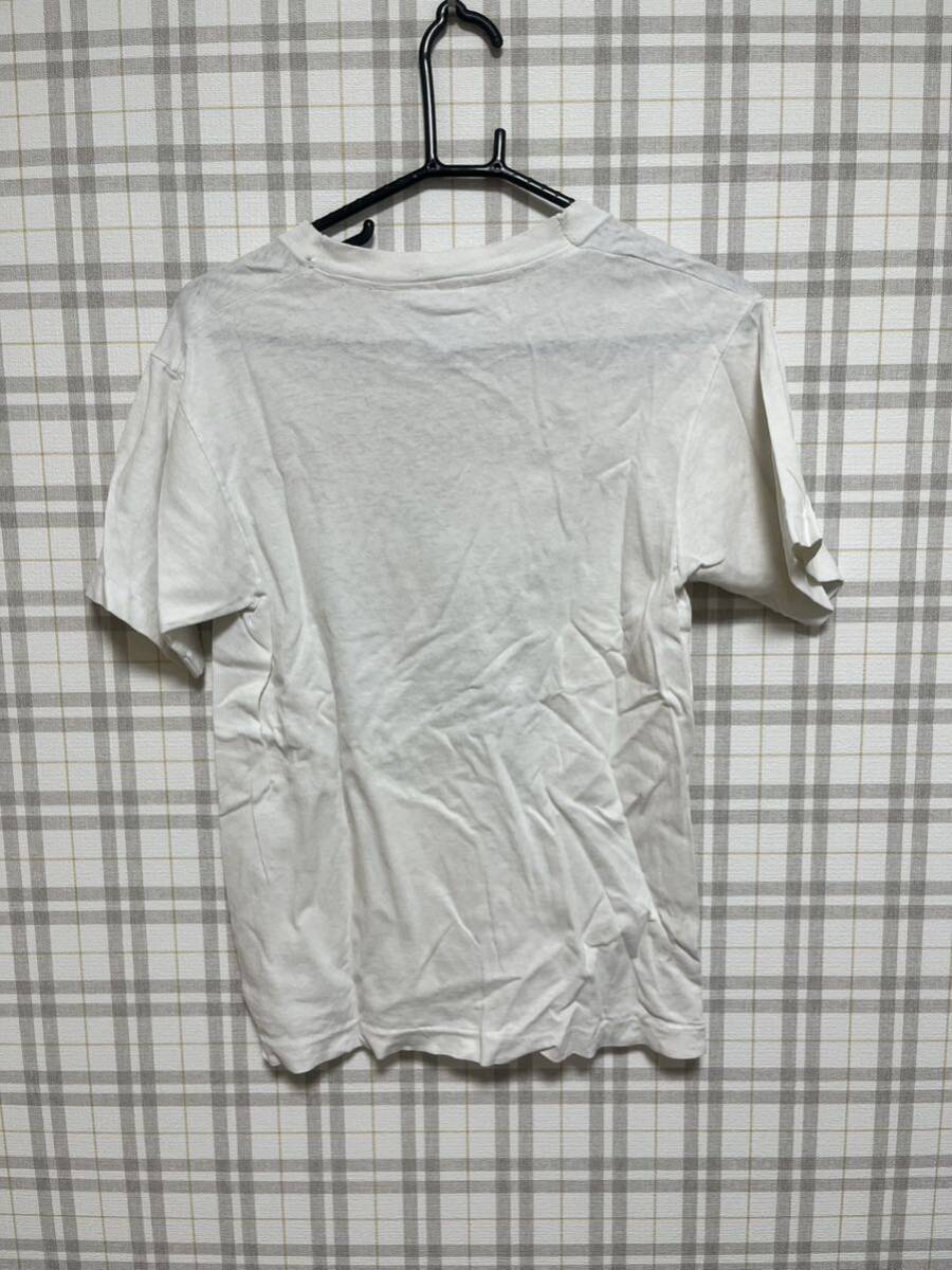 USA製 90年代 フルーツオブザルーム タートルズTシャツ アニマル