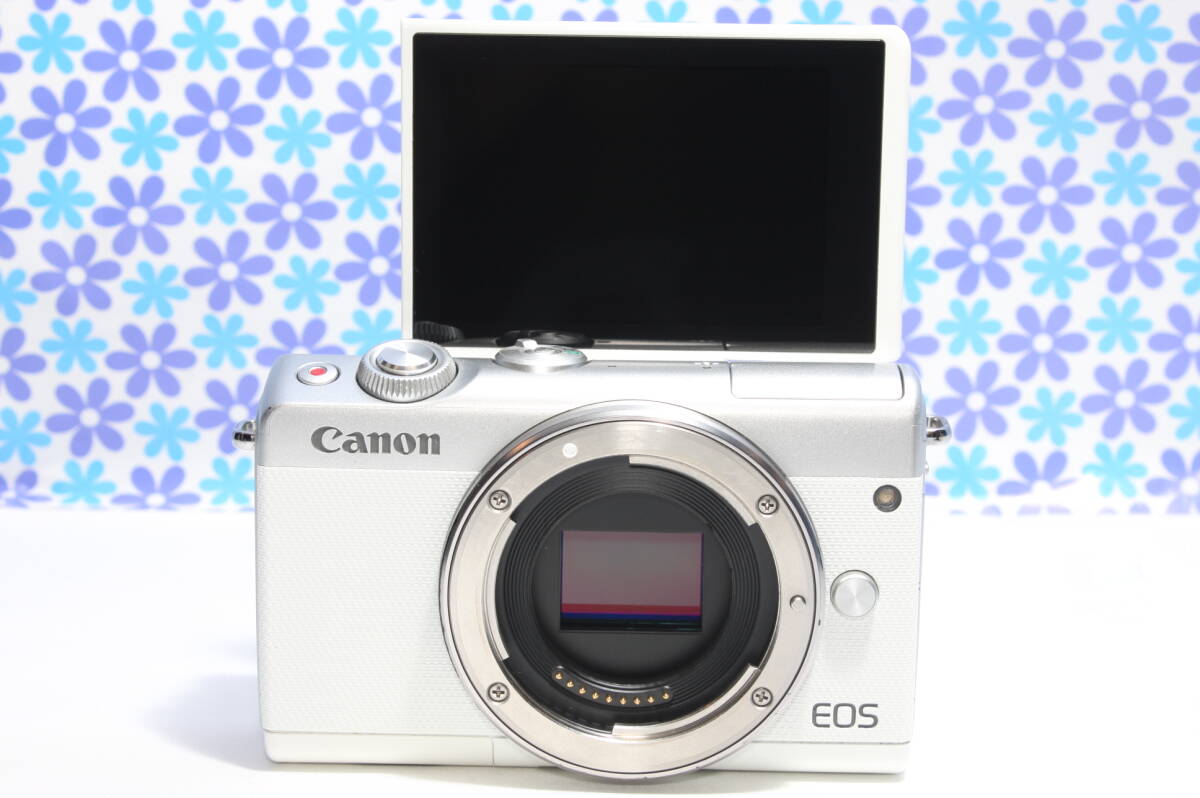 極上美品★キャノン Canon EOS M100★Wi-Fi機能搭載★高画質★手ぶれ補正★送料無料★_画像7