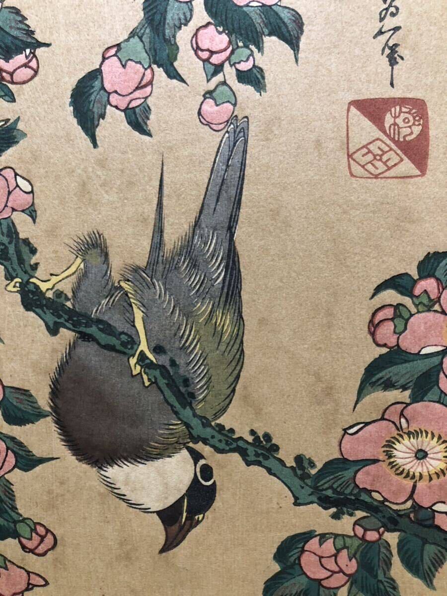 木版画 葛飾北斎【鷽に垂桜】昭和期 復刻版 本物保証 ■ 浮世絵 錦絵 花鳥画 摺物 Hokusai Ukiyoe_画像9