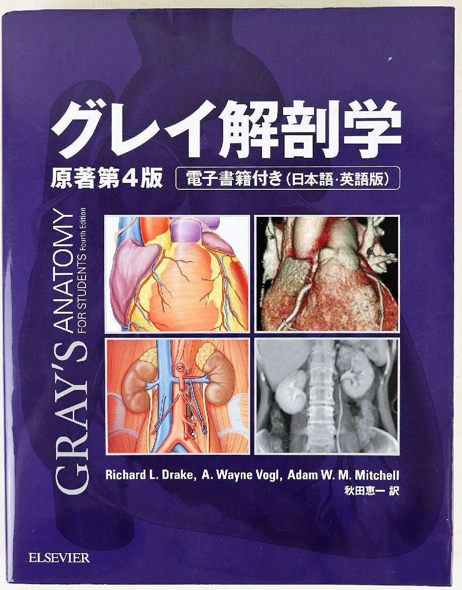 S* secondhand goods * publication gray anatomy . work no. 4 version Richard *L*do Ray k/ Akita . one translation L ze Via * Japan 961 page 