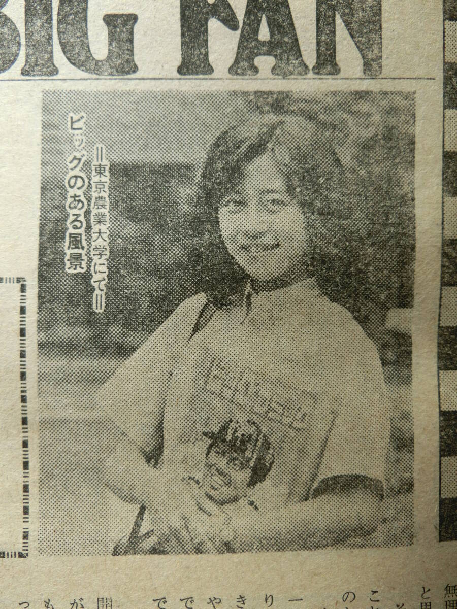 ビッグコミック 1981/ 7/10日号 城戸麻亜子19才 城戸真亜子 東京 ビッグコミック 1981/ 7/10日号 城戸麻亜子19才 城戸真亜子 東京