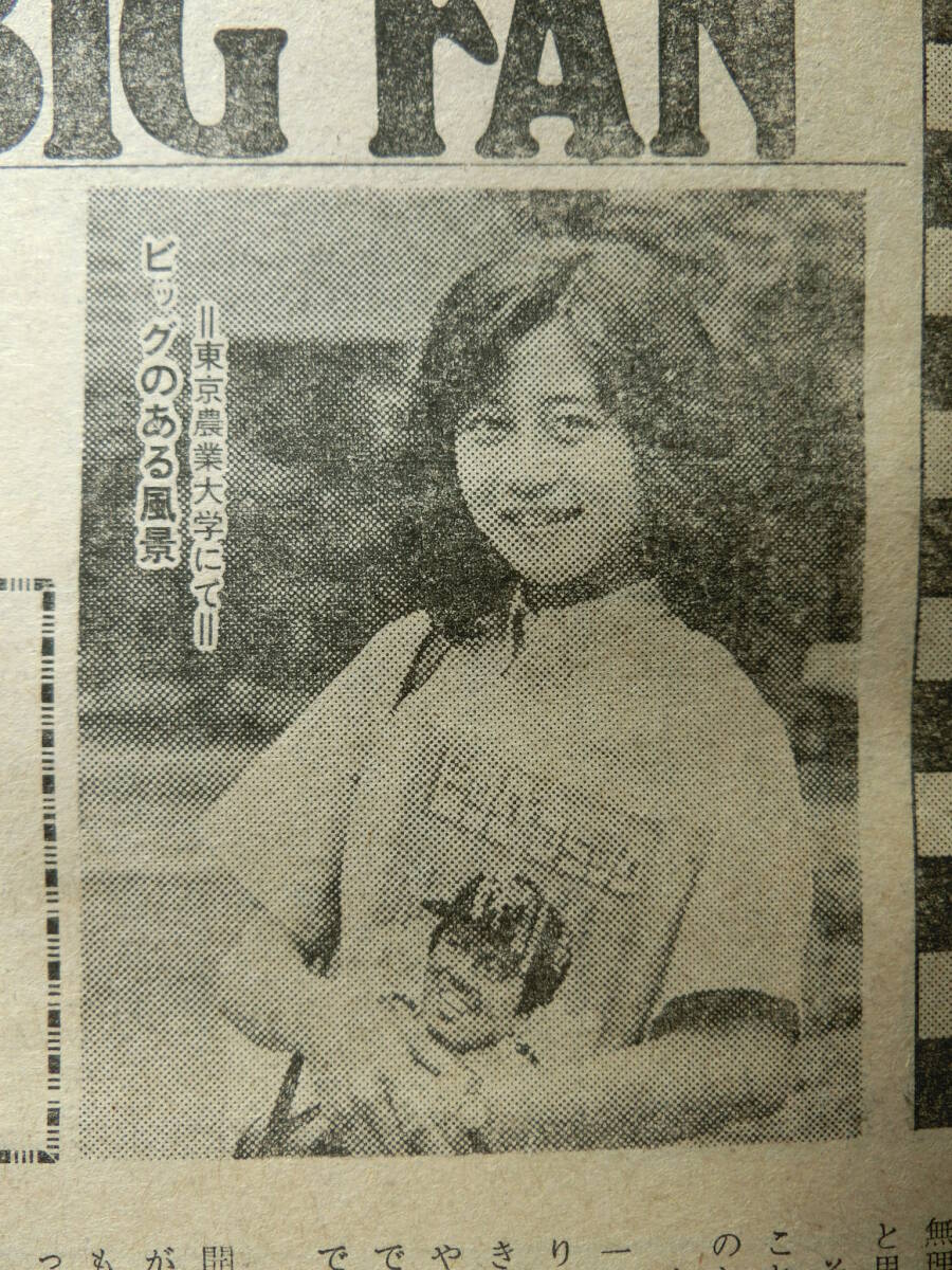 ビッグコミック 1981/ 7/10日号 城戸麻亜子19才 城戸真亜子,東京農業大学,原由子25才,宇崎竜童35,大胆な水着,マッド・レスリング,草刈正雄_東京農業大学 の 可愛い