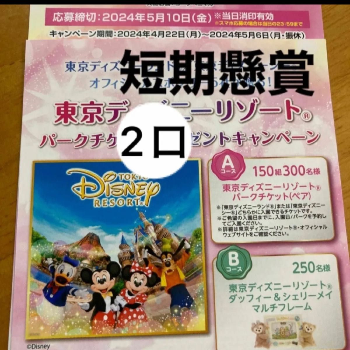 懸賞　2口　ディズニー　ディズニーリゾート　懸賞応募　短期　レシート懸賞　地域限定　店舗限定　