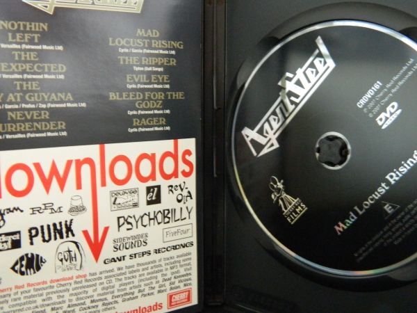 (60) 中古DVD Agent Steel /  Mad Locust Rising   輸入盤  DVDケース傷、日本製Blu-rayレコーダーで再生可能の画像2