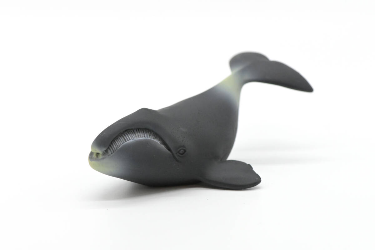 海洋堂】AQUALAND AQC-006W「ホッキョククジラ」カリカチュア 海洋堂】AQUALAND AQC-006W「ホッキョククジラ」カリカチュア