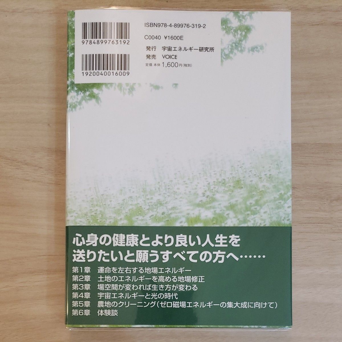 幸せを呼ぶ地場修正　住むだけで運気がアップするイヤシロチ作り 水島幹夫／著