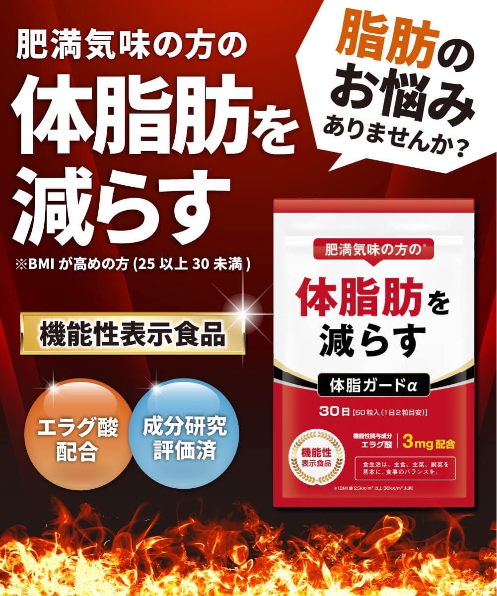 2袋60日分　機能性表示食品 体脂ガードα ダイエット食品　体脂肪減　カルニチン エラグ酸 内臓脂肪 皮下脂肪　健康　激安　サプリ