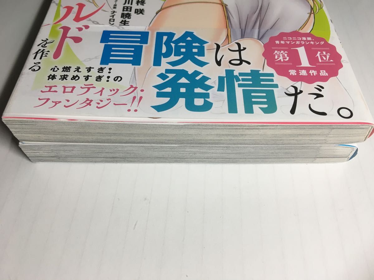 裏切られたSランク冒険者の俺は、愛する奴隷の彼女らと共に奴隷だけのハーレム1〜2