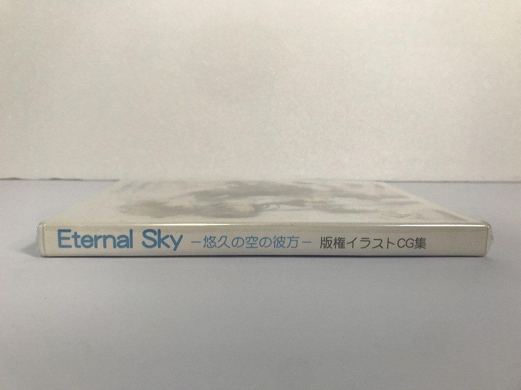 CH559 PC 未開封 池上茜 EternalSky 悠久の空の彼方に 版権イラストCG集 【Windows】 207_画像5