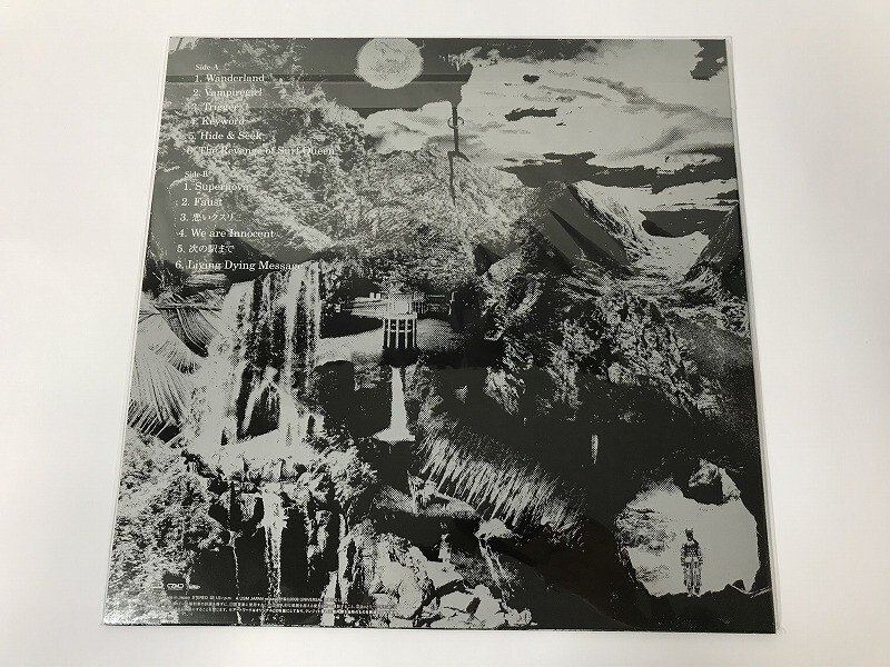 CI001 未開封 9mm Parabellum Bullet / Vampire PROT-7244 【LP レコード】 1119_画像2