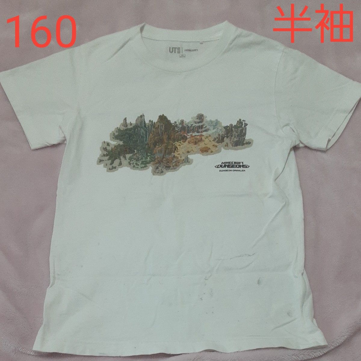 ★　160　処分価格　マイクラ Tシャツ 半袖