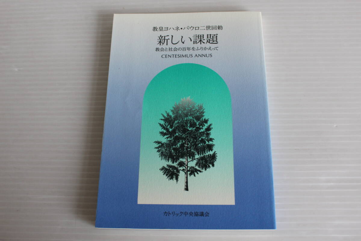 新しい課題　教会と社会の百年をふりかえって　カトリック中央協議会_画像1