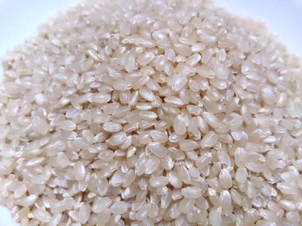 [ free shipping ]. peace 5 year Niigata prefecture conventional Koshihikari 25 kilo after the bidding successfully . rice .. storage Special A acquisition agriculture house from direct delivery 4
