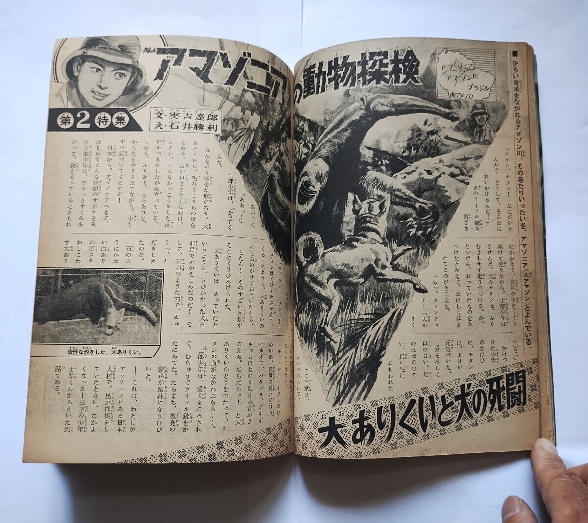 月刊ぼくら １９６４年 昭和３９年 2大新連載 風のフジ丸、少年忍法隊 ７月号の画像6