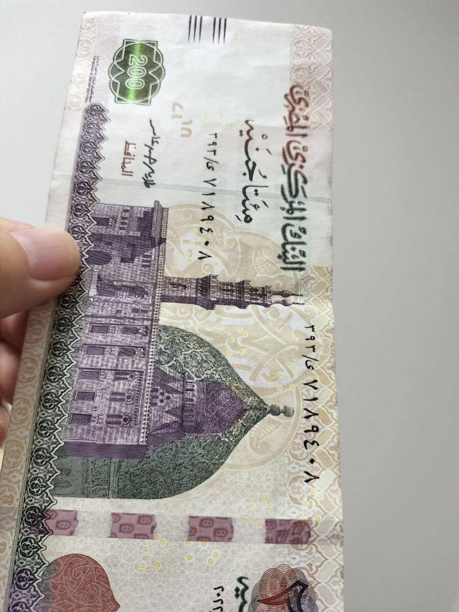 A 2435.エジプト1枚 旧紙幣 _画像5