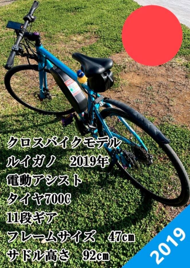  Louis gano electromotive bicycle 750w Di2 custom cost 40 ten thousand over 