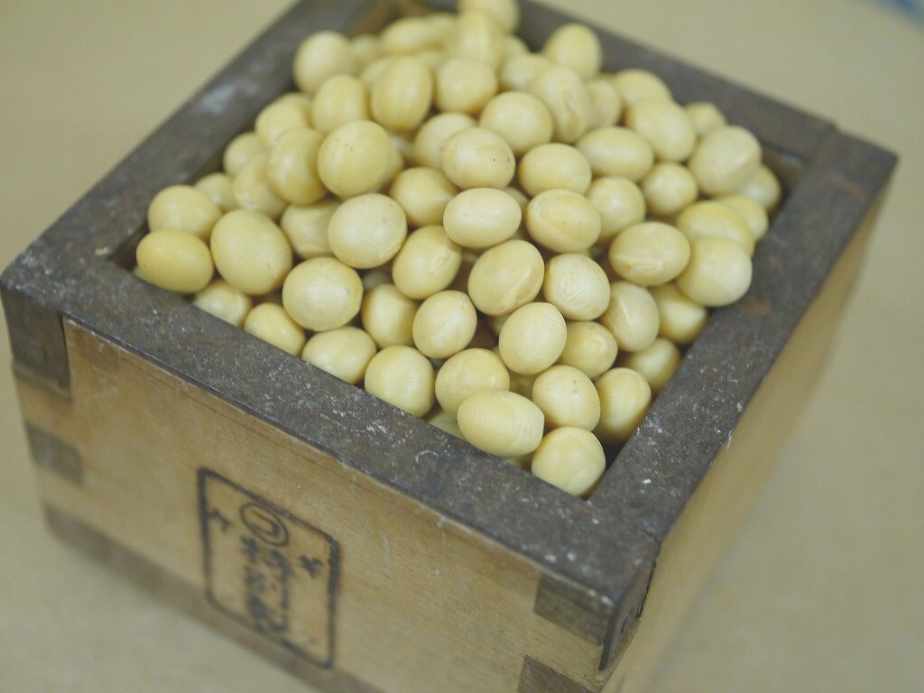 【おたまや】令和５年産 味噌用大豆 里のほほえみ（7kg）_画像2