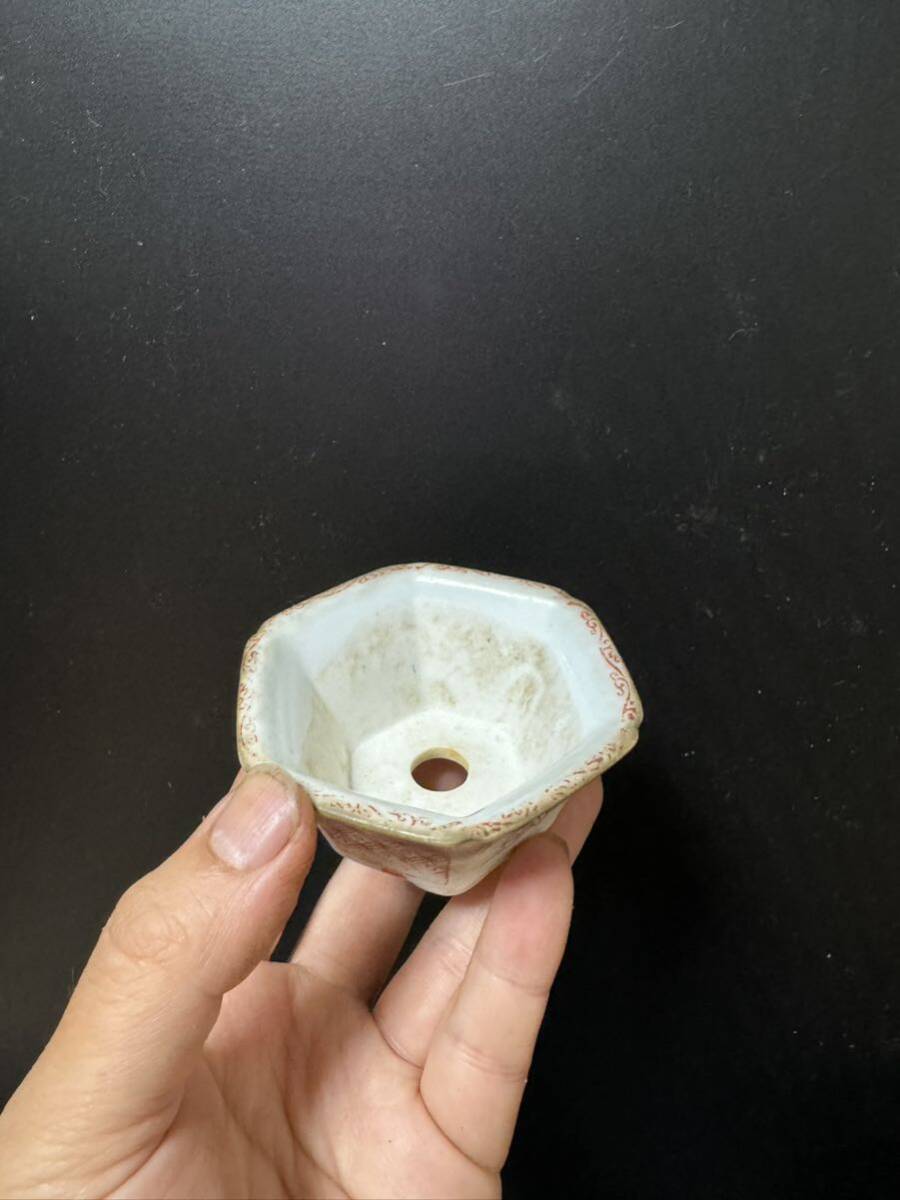  bonsai small bowl ⑤