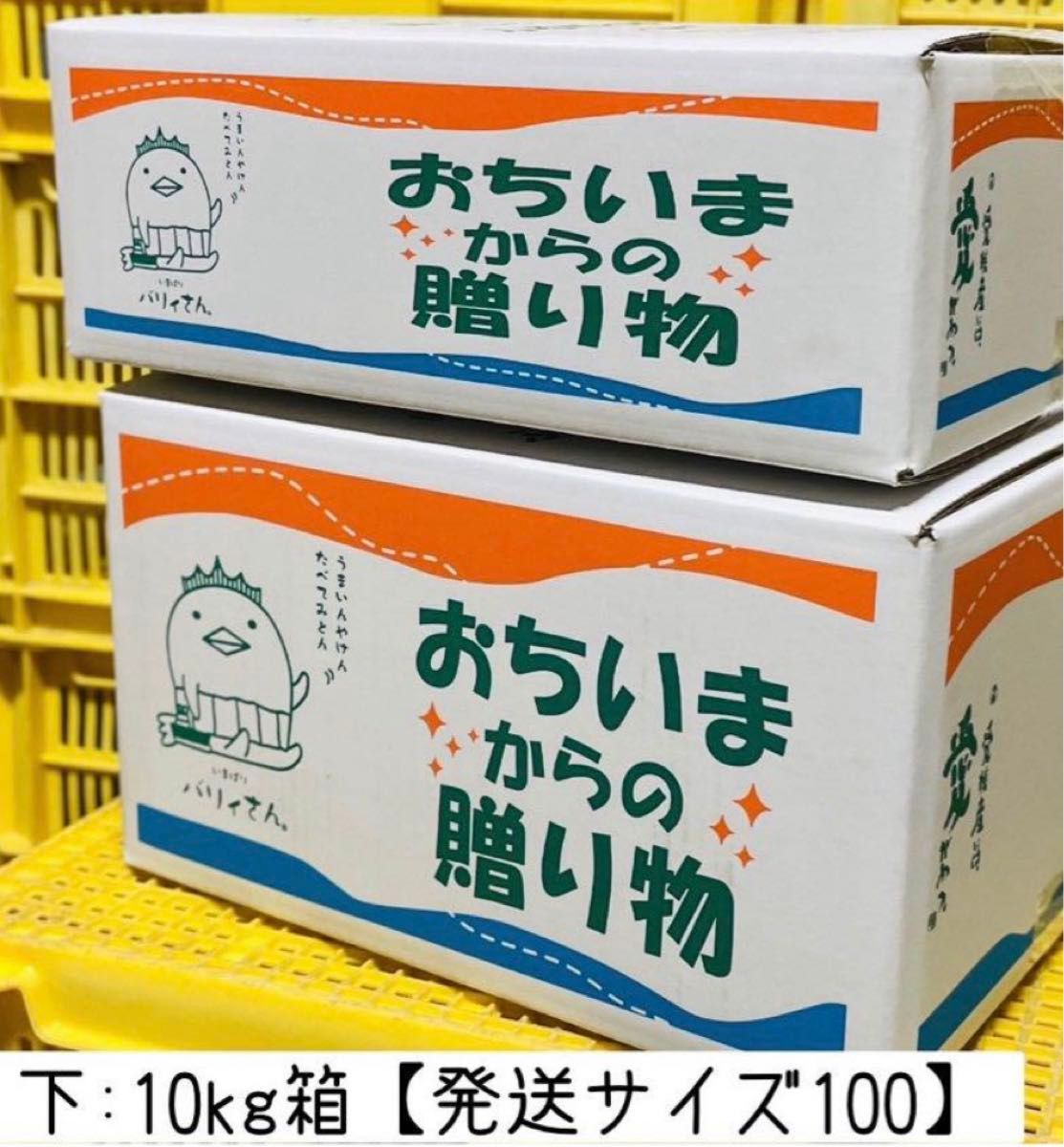 特別栽培の木成レモン 10kg箱【愛媛の農家直送】栽培期間中農薬不使用